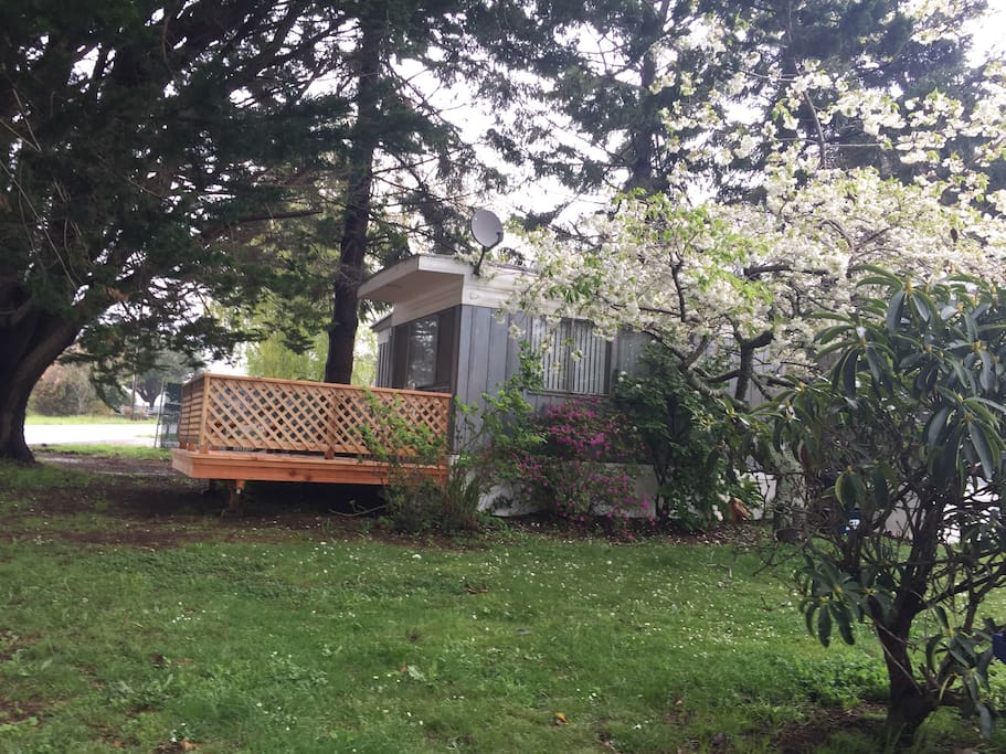 Walk to beach Brookings Harbor! Houses for Rent in Brookings