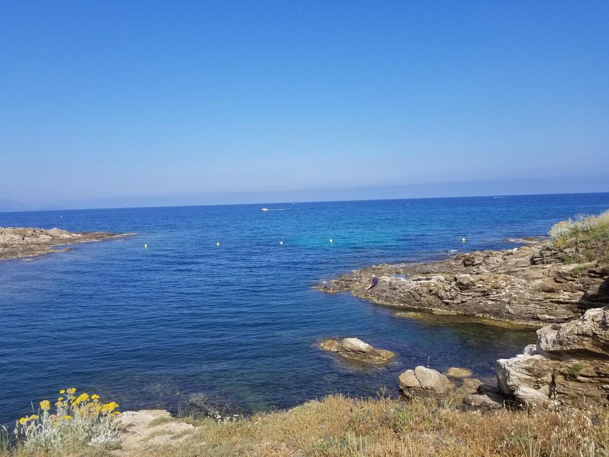 A serene coastal scene is depicted, featuring clear blue waters gently lapping against rocky shores. Yellow flowers add a touch of color to the foreground, while a distant boat glides across the horizon under a bright sky.