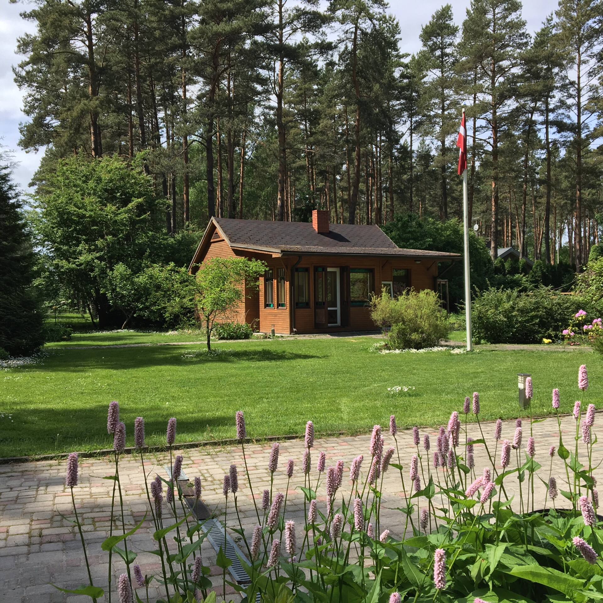 Cosy house in forest with outdoor hot tub