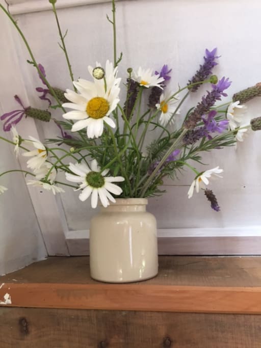 Wild flowers