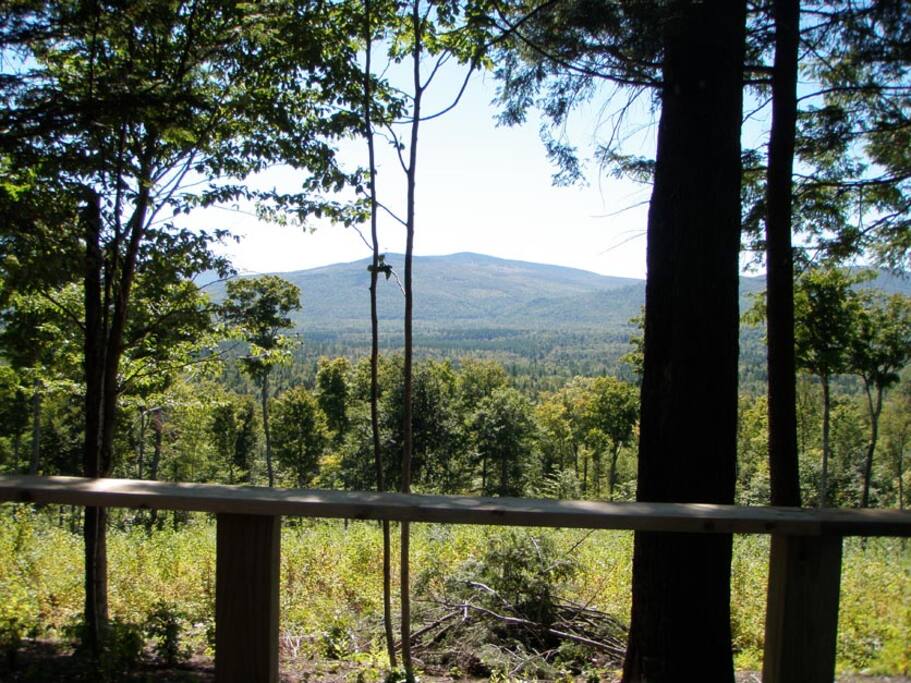 Your view off the deck