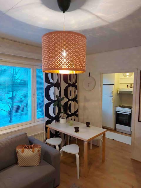 Top performing Airbnb: Compact nice apartment, good location in Pori