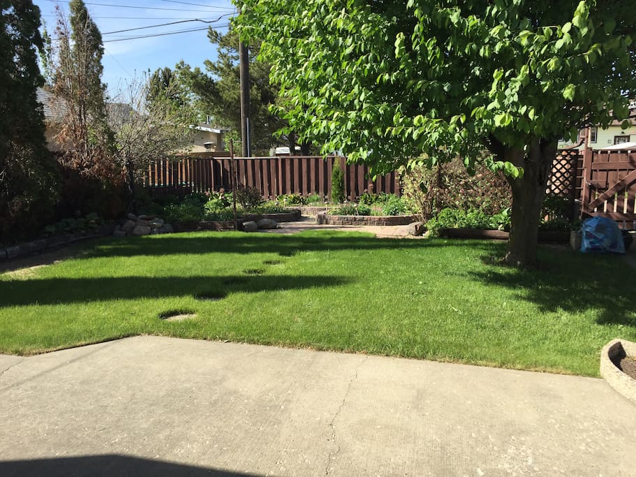 Backyard