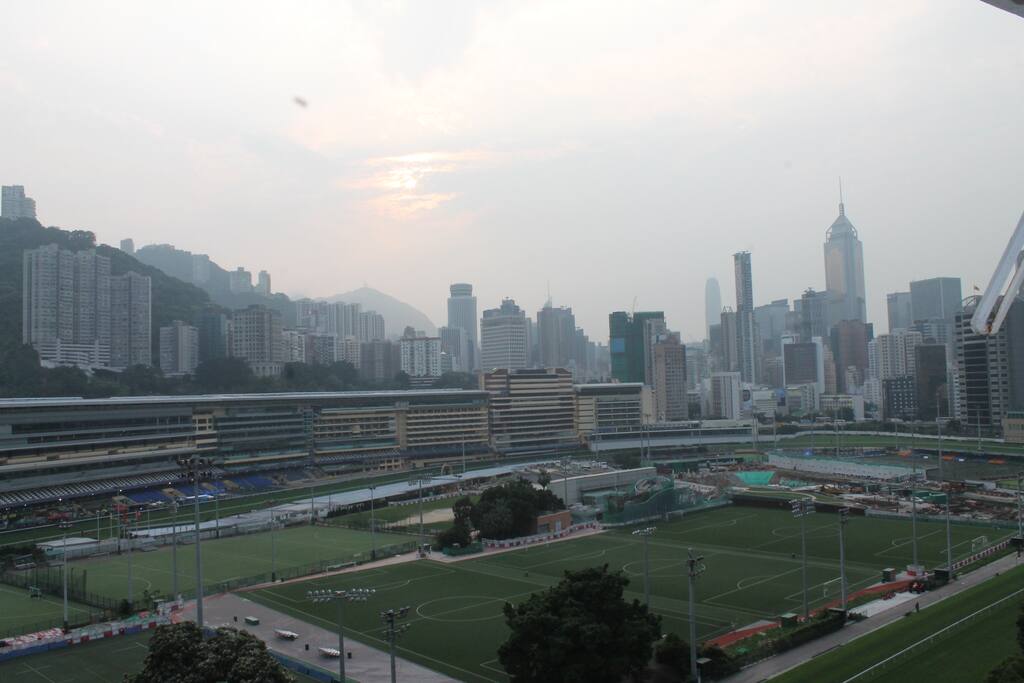 View from Living Room.