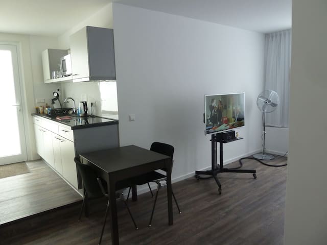 1 Zimmer Apartment ca. 40,0 m²