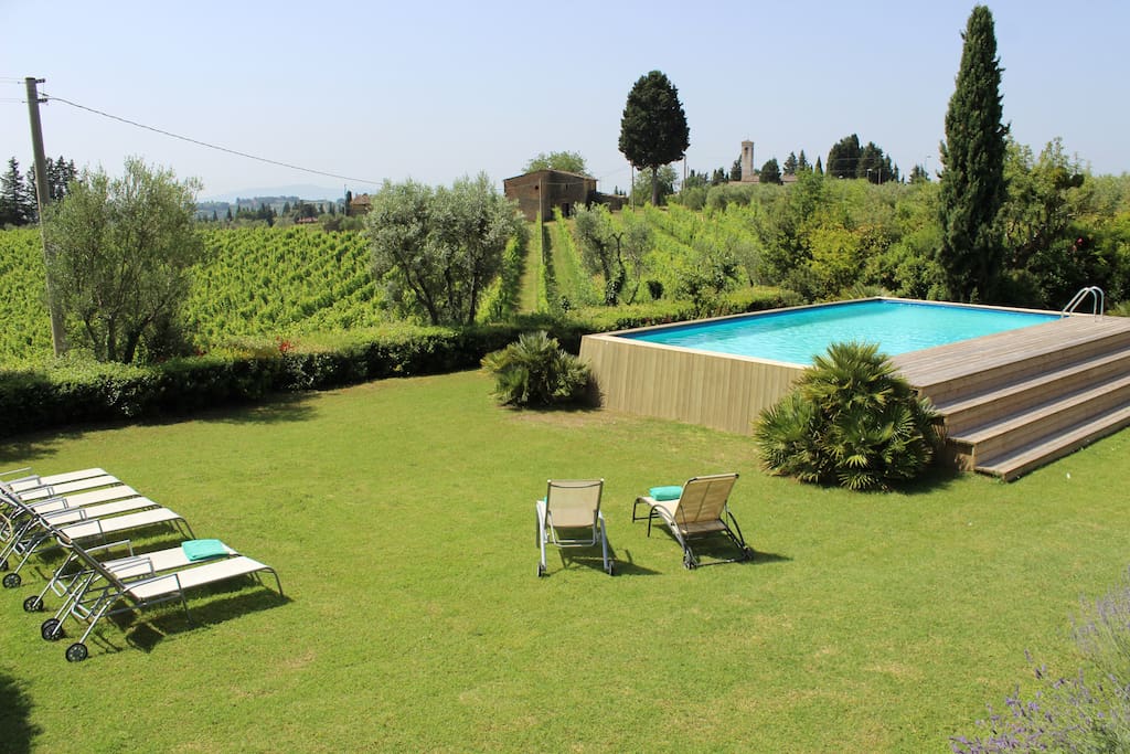 swimming pool with vineyard view!