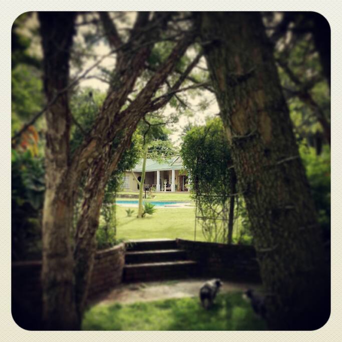 Spacious Gardens