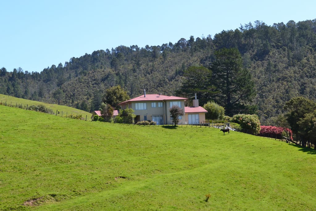 The house