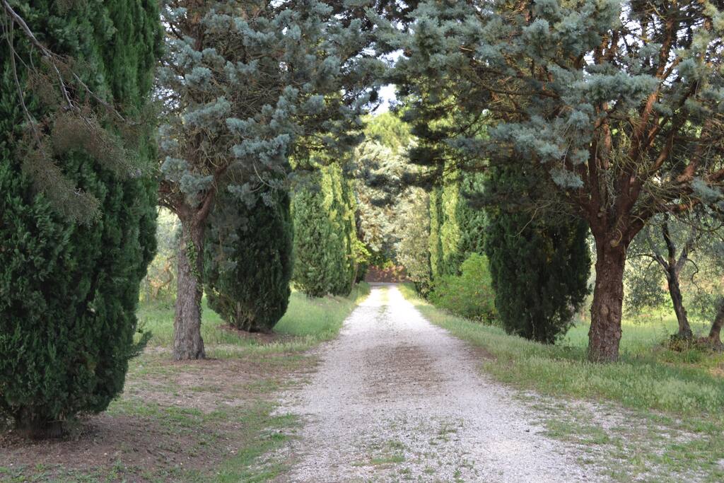 Viale di accesso
