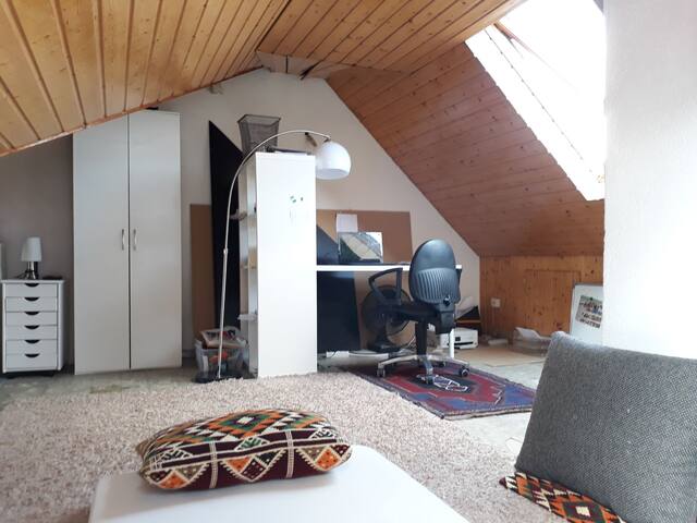 Privates Geschoss in Heilbronn (Dachboden)