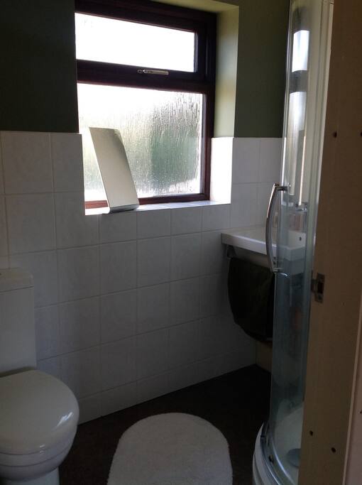 Large corner shower in bathroom