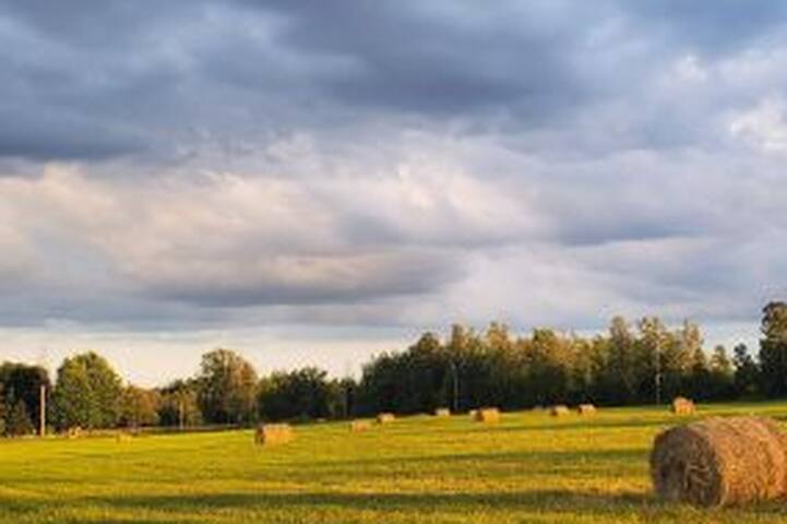 Long Meadows gallery image 4