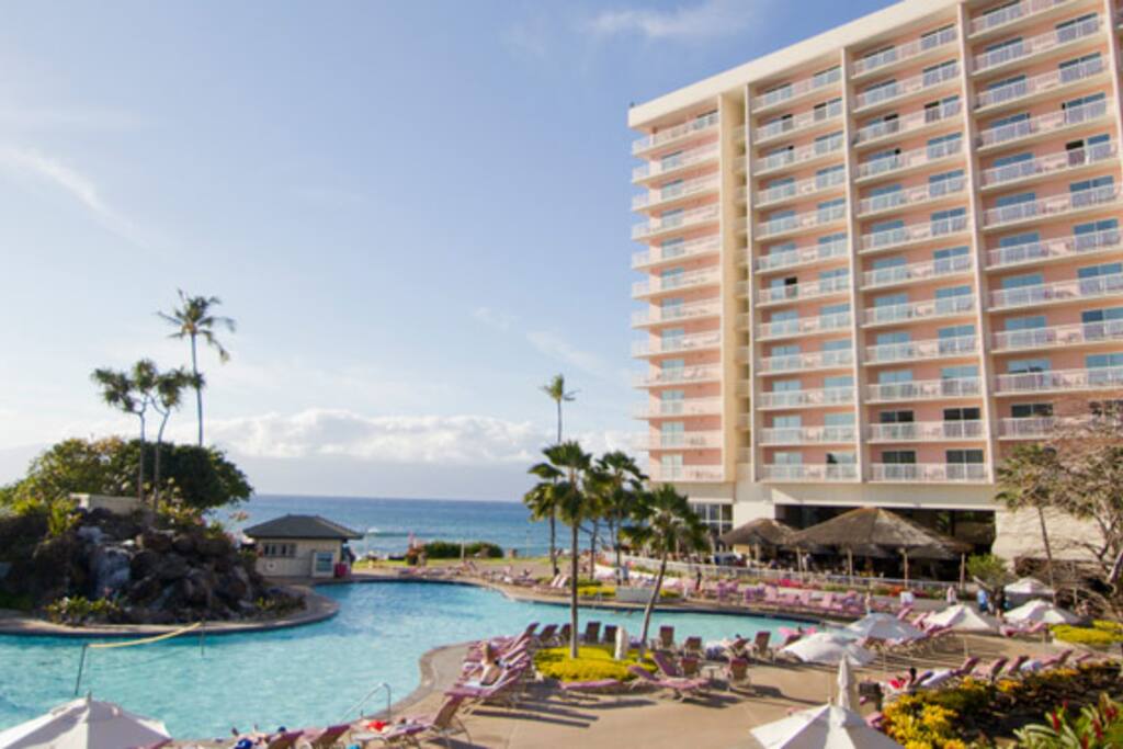 Pool/Ocean View