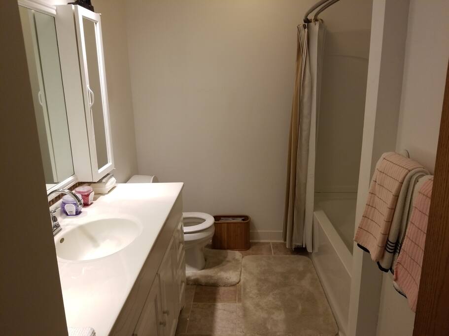 Guest Bathroom
