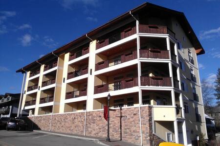 Downtown Condo - Heart of Bavaria