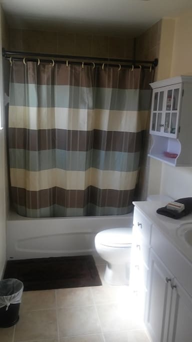 Master Bathroom in Master Bedroom