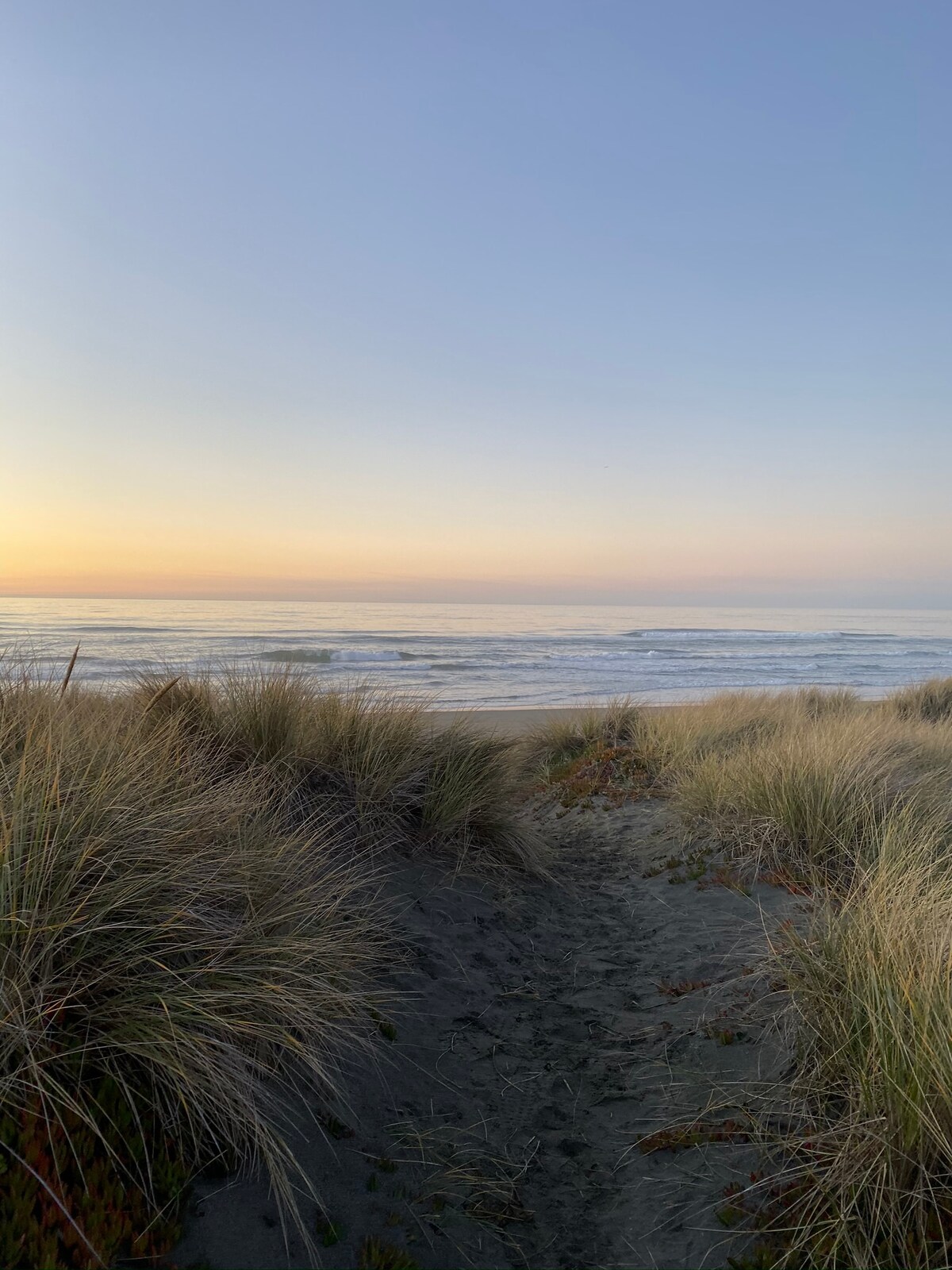 A sandy pathway winds through tall grasses leading to a serene beach at sunset. Gentle waves can be seen lapping the shore, while the sky transitions from soft hues of orange to deep blue, creating a calming coastal scene.