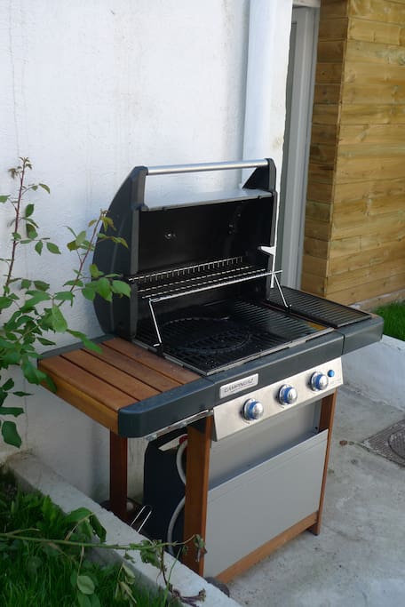 barbecue