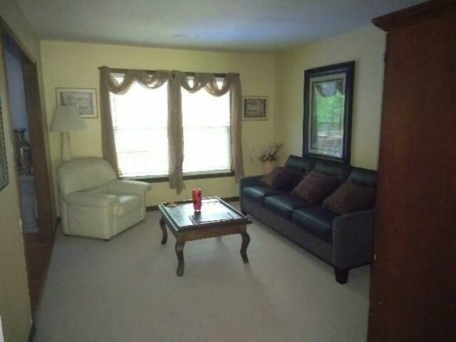 livingroom with sleeper