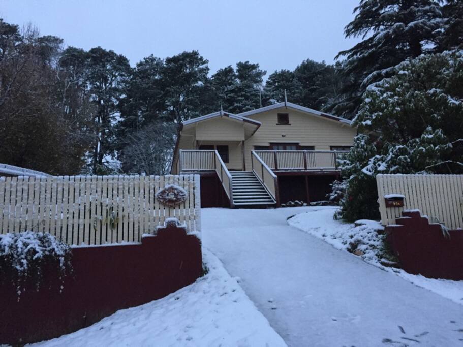 Snow 2015