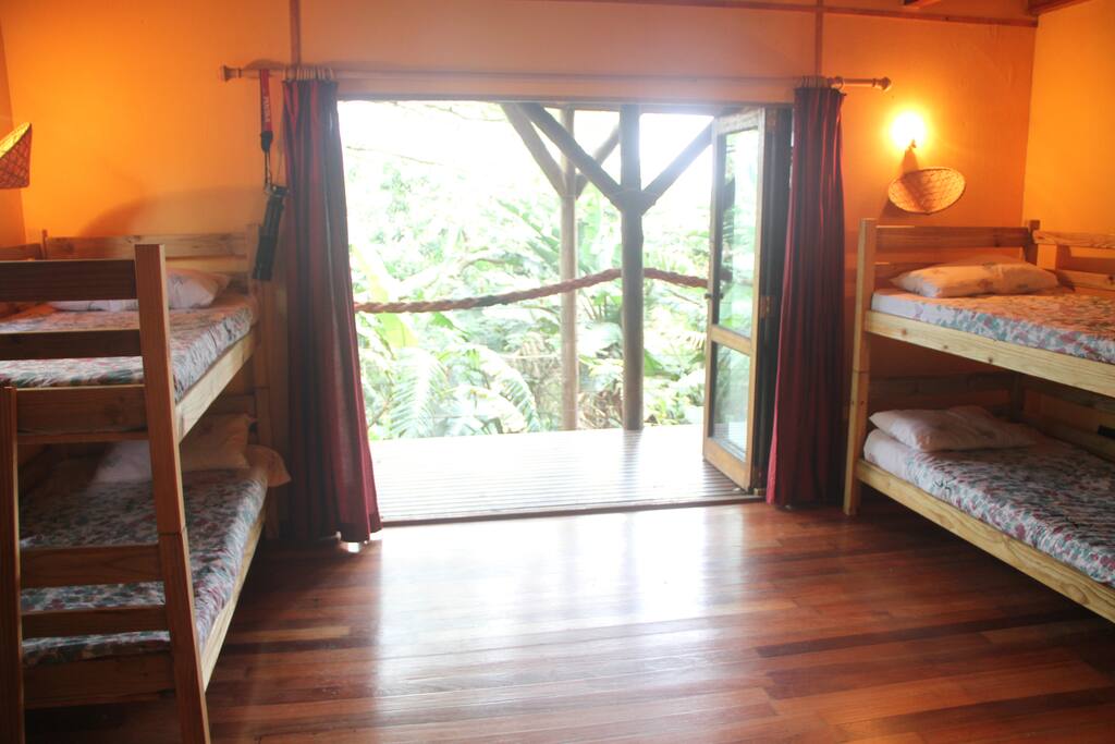 Bedroom with two sets of bunk beds, sleeping four, en suite with jungle view.