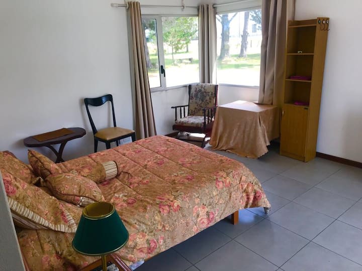 Habitación 6
