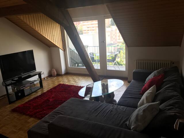 Beautiful attic apartment