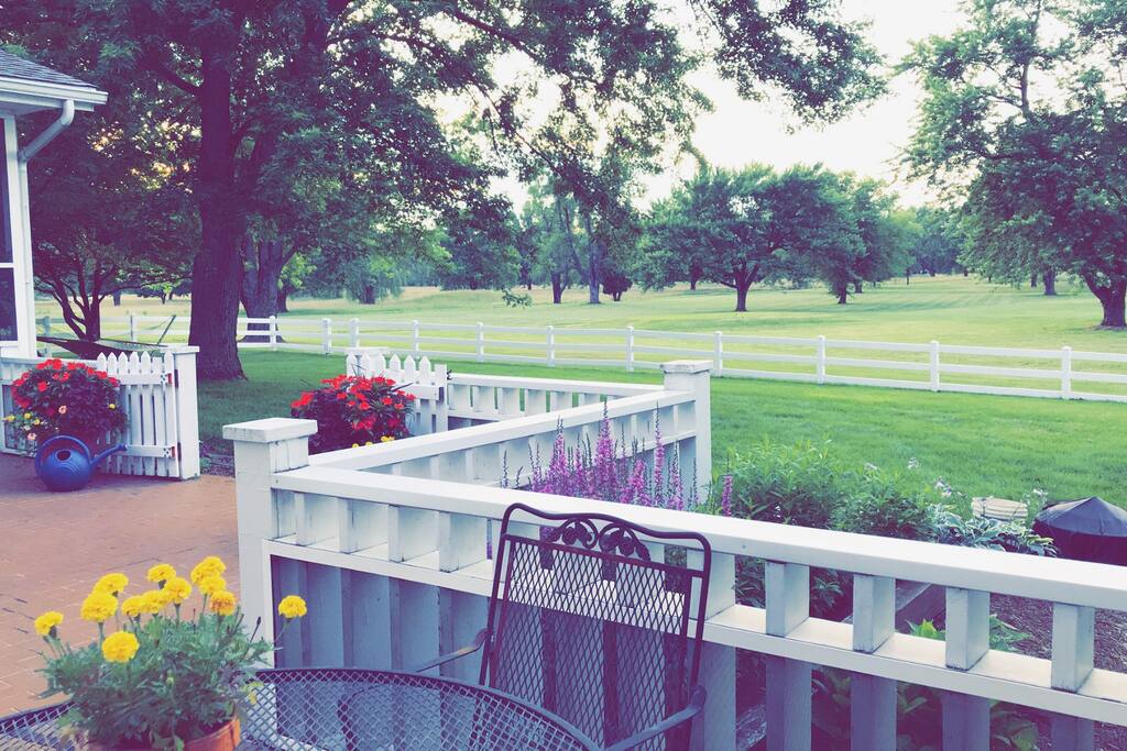 Beautiful view from the patio