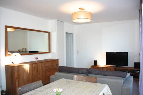 annecy center 2 rooms + 3-star garage