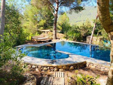 Private Villa with Pool Ibicencan Style