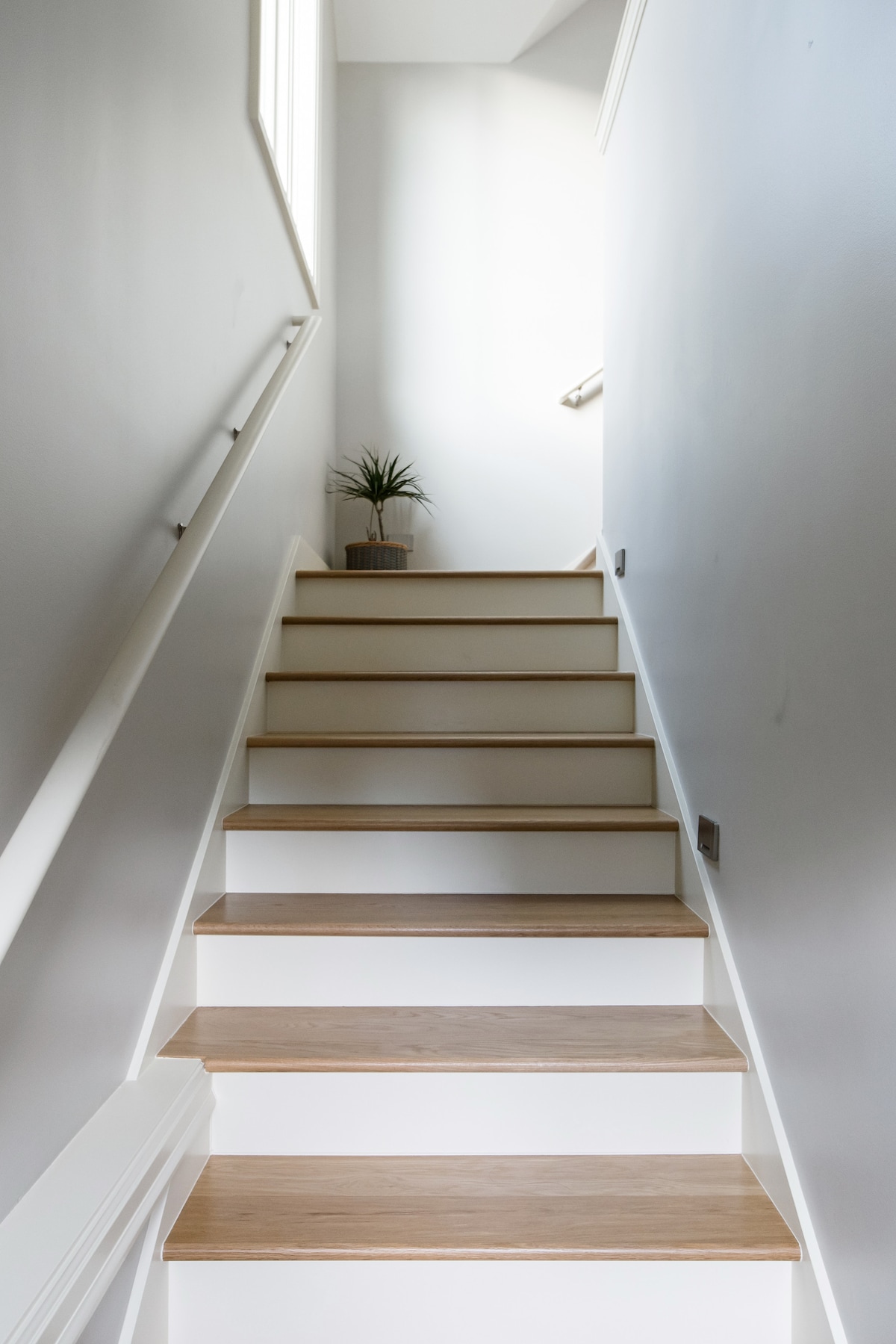 Montlake Studio
