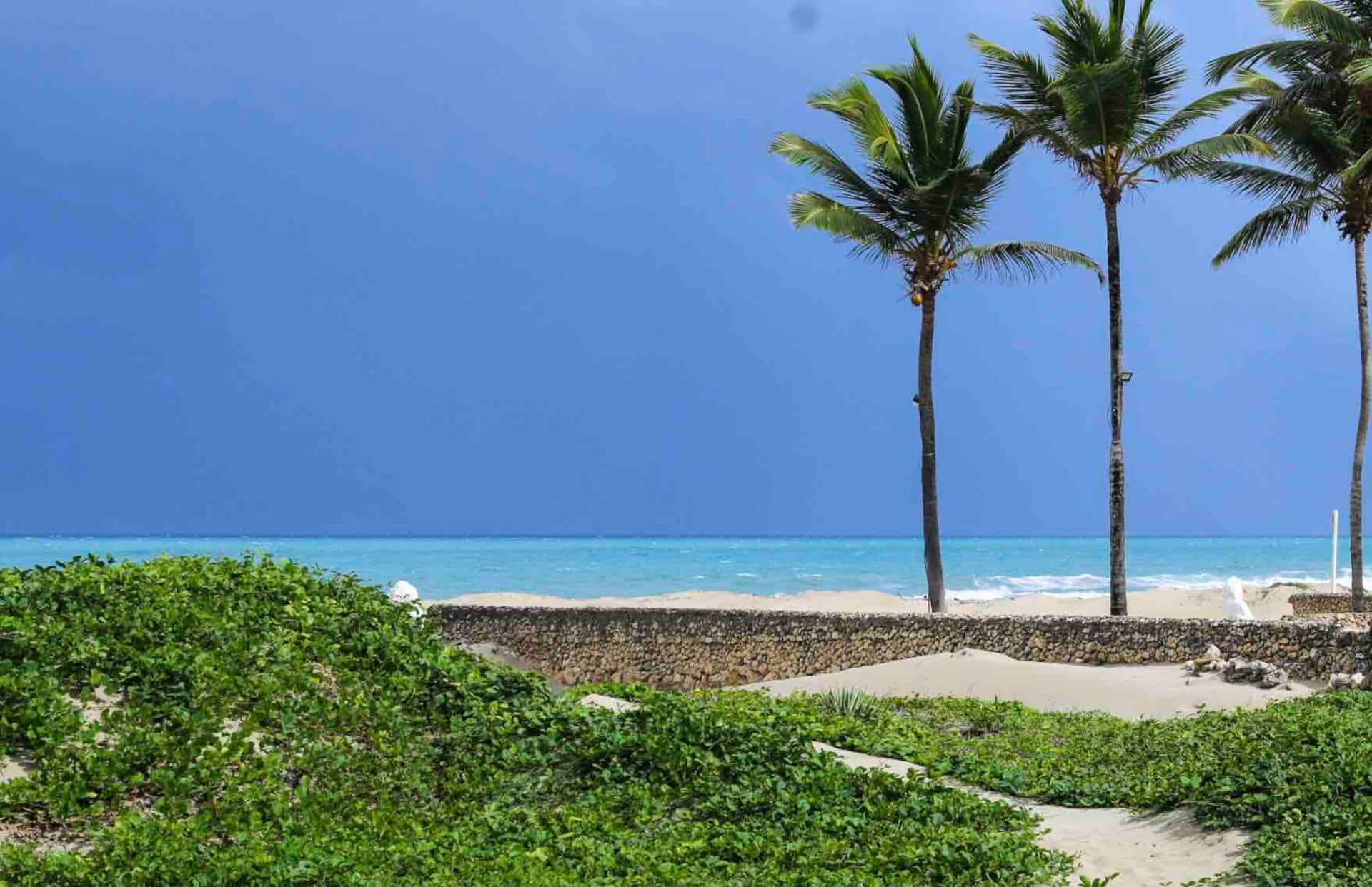 Unique Beachfront Hideaway | Private Pool