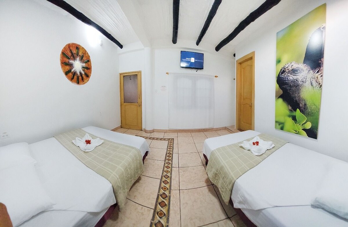 A spacious room features two large beds, each neatly prepared with towels and flowers. A flat-screen TV is mounted on the wall, and natural light fills the area through a window. Artwork depicting local wildlife adds a touch of character.