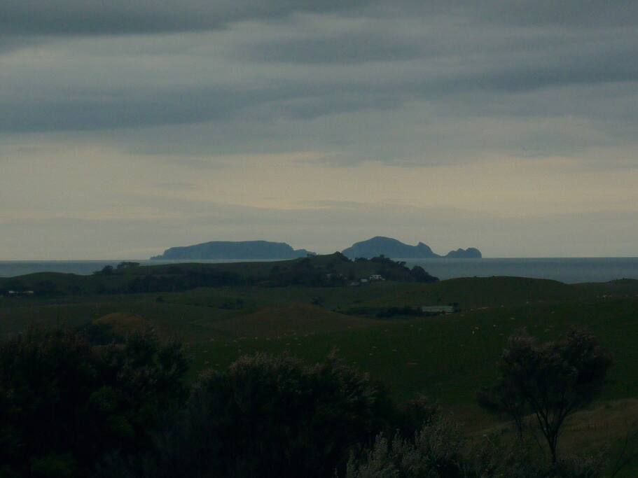 Poor Knights Islands