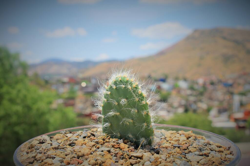 Vista panorámica