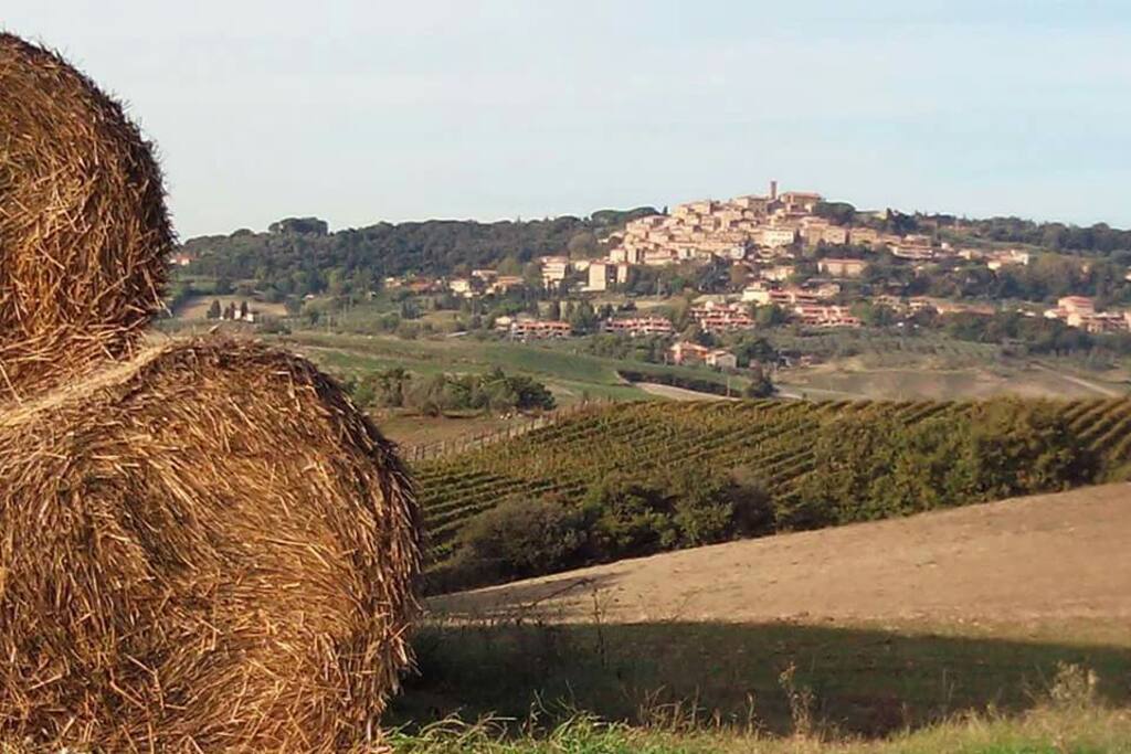 Il paese (Casale Marittimo)
