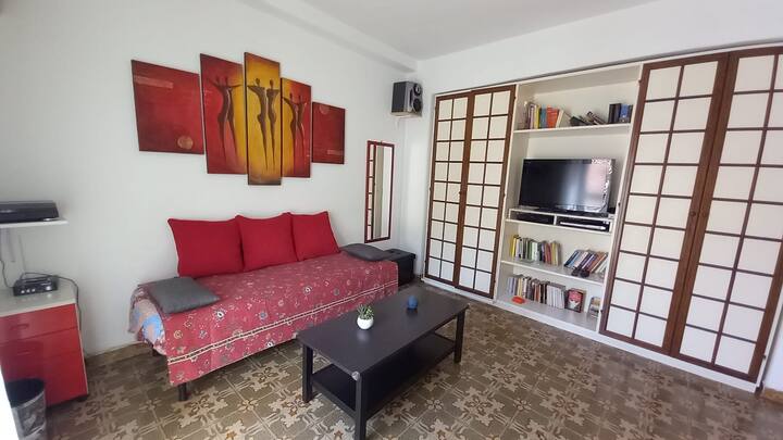 第二间客厅，配备单人床和带天空的卫星电视。
有几本书可供使用。
