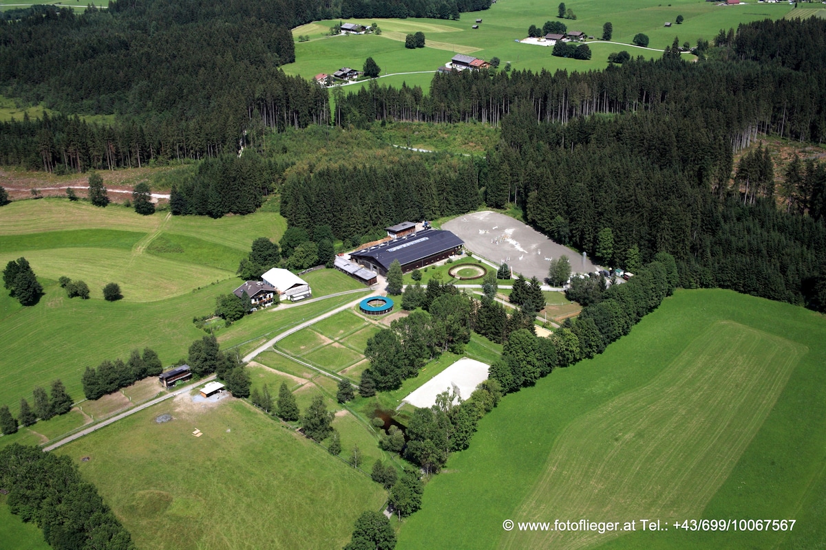 An aerial view captures the expansive grounds of a riding facility, surrounded by lush green fields and dense forests. Viewing the spacious building housing accommodations, a circular pool, and various outdoor areas adds to the serene atmosphere of the countryside landscape.