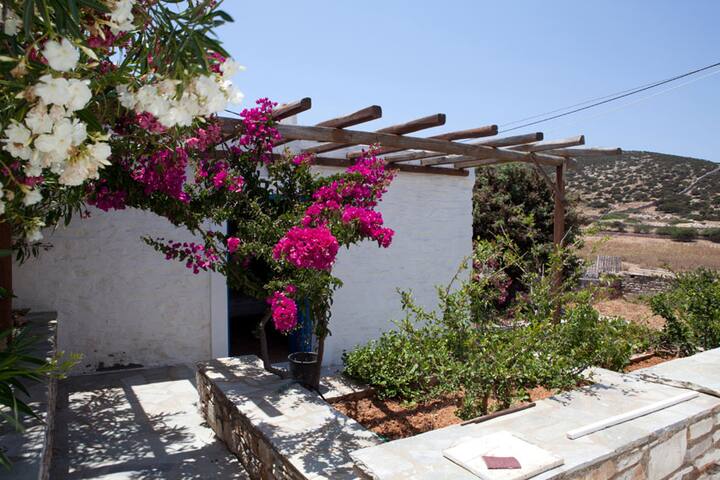 Villa Ilios, beach front Antiparos gallery image 3