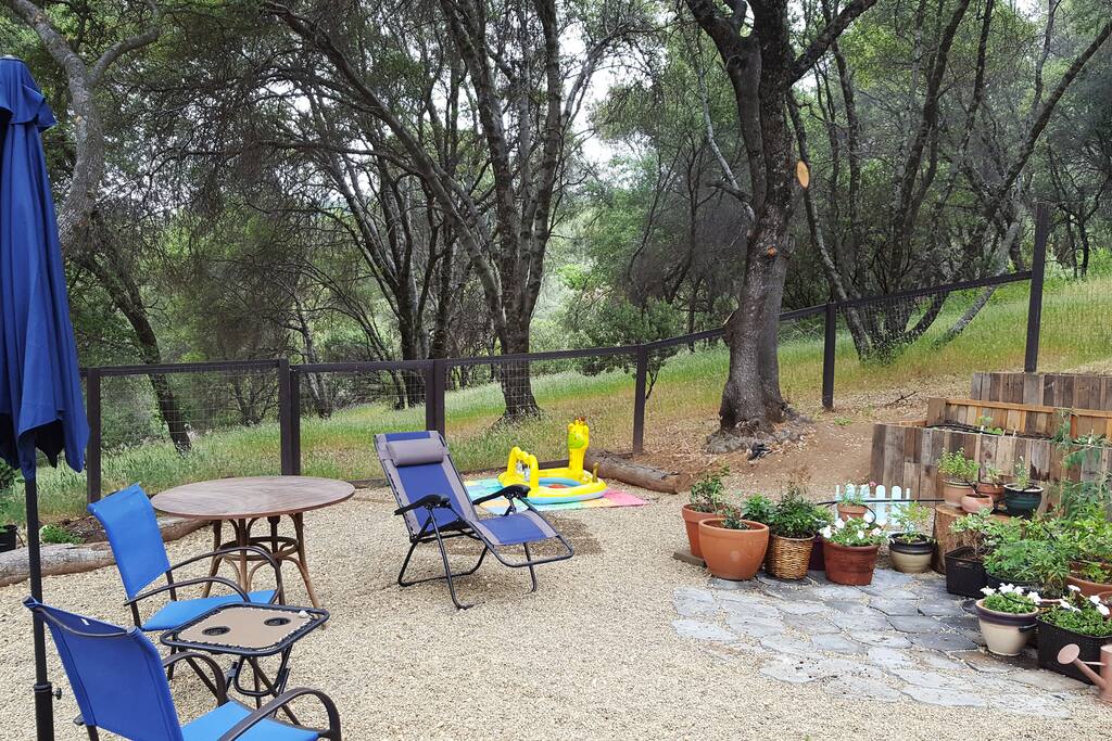 Fenced In Yard & Garden