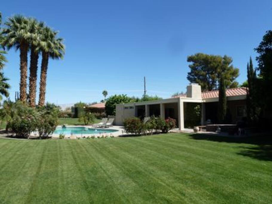 Large natural grass back yard