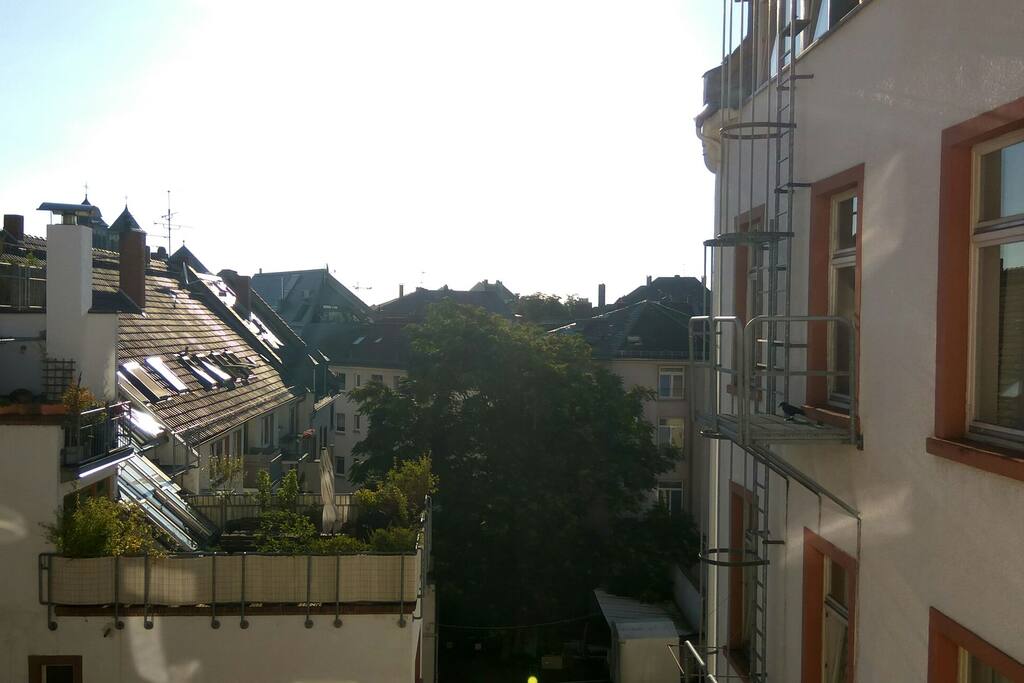 Blick in den angenehm ruhigen Hinterhof