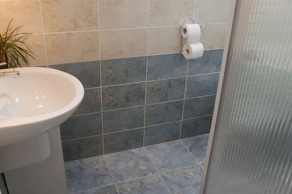 Shower and toilet on the same floor.