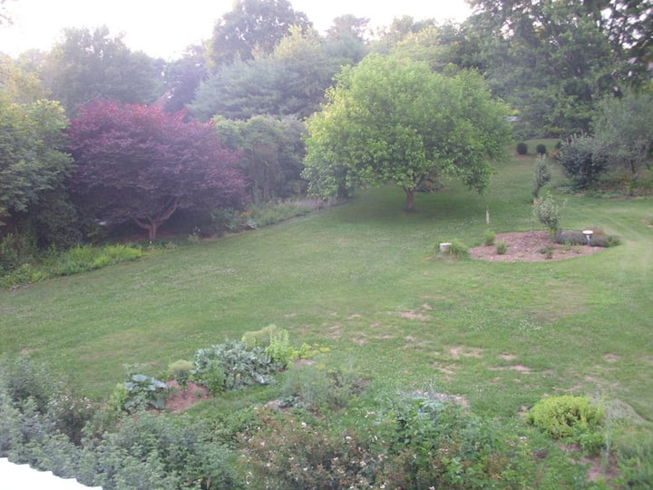 Garden Cottage near Asheville Guesthouses for Rent in Fairview, North