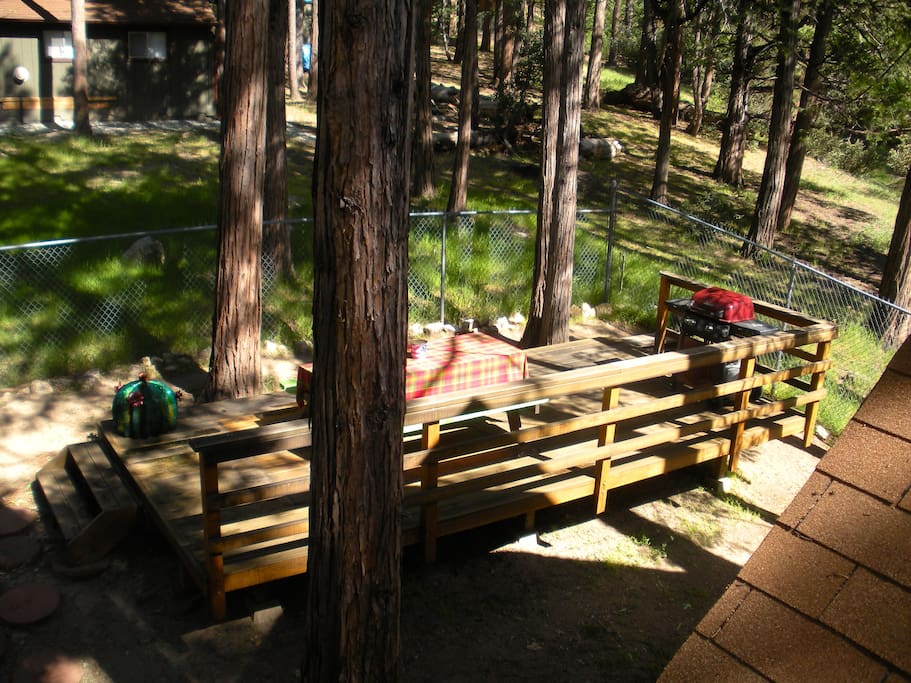 BBQ under the pines