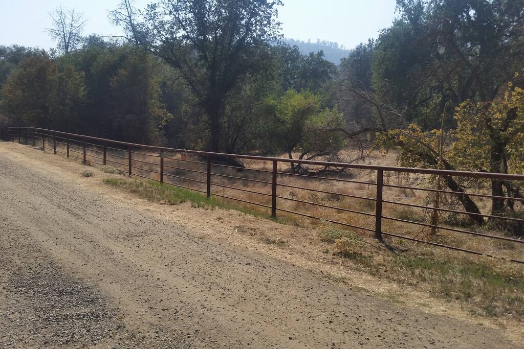 Long driveway with fence