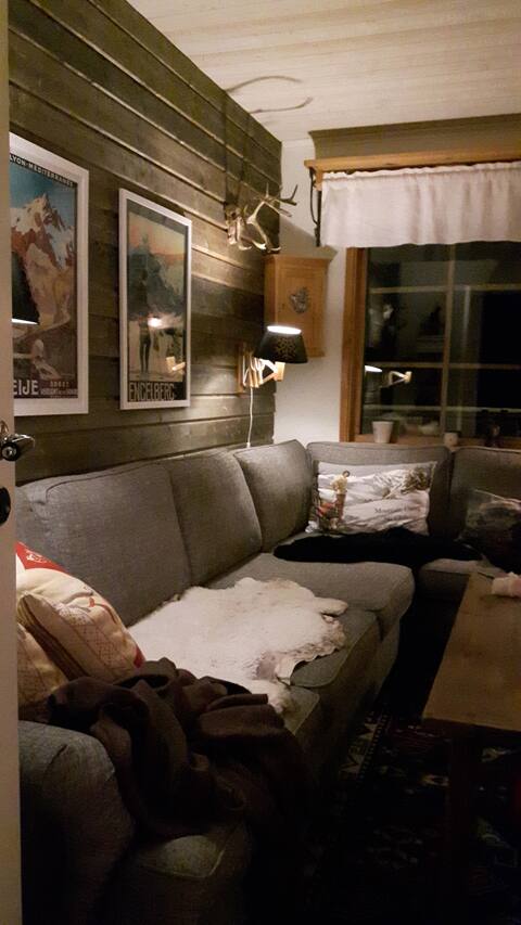 Åre Björnen sports holiday Charming chalet style by the slope