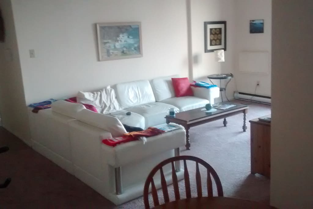 Sofa in the Living Room!