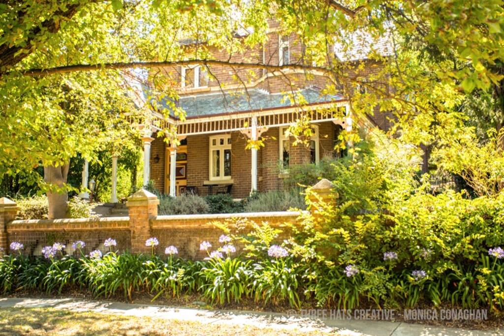 The garden in summer