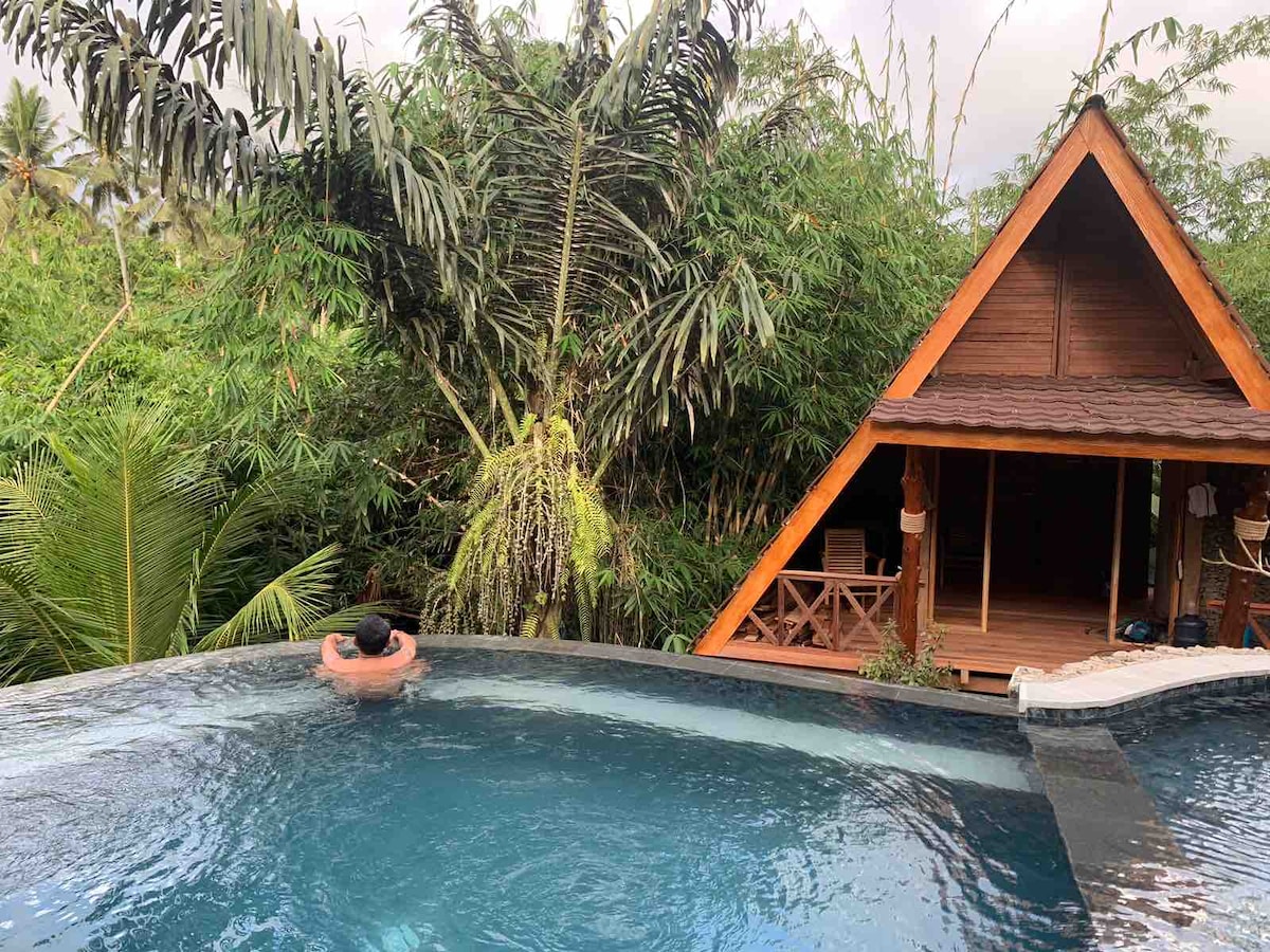 A tranquil pool area is observed, featuring a clear blue water surface reflecting the surrounding greenery. A charming A-frame structure is visible in the background, complemented by lush tropical plants, enhancing the serene environment. The pool edge merges with a natural landscape.